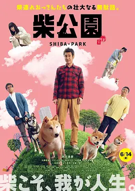 超清HD高清在线观看