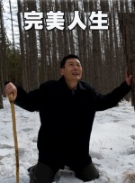 手机免费播放