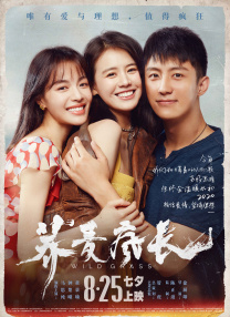 高清版在线观看